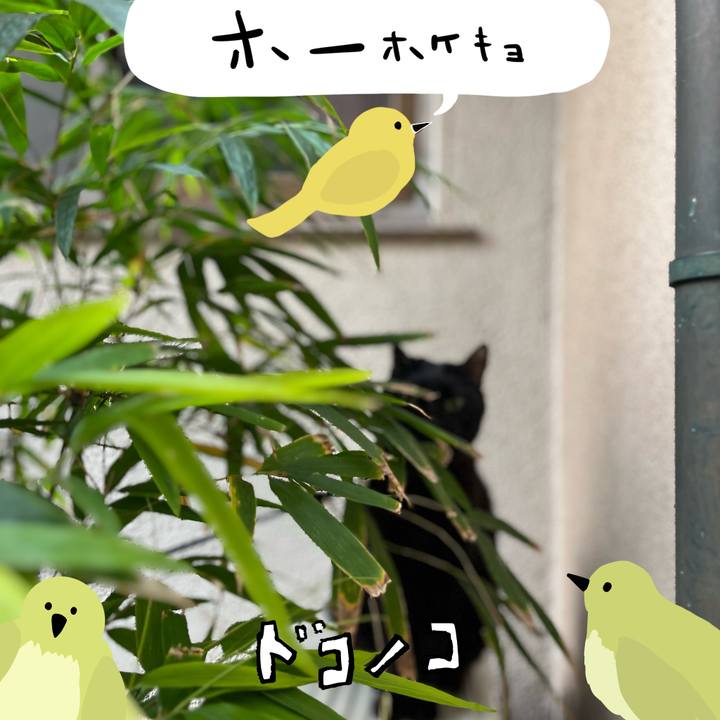 586f1cc1 a9b6 44c3 9a7c 4175d01bc97e 1711150872427
