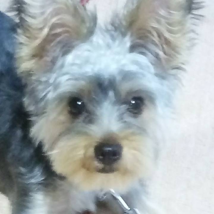 586f34b9 5332 4e6d 8696 42e6ed7a17bd 1536841450676