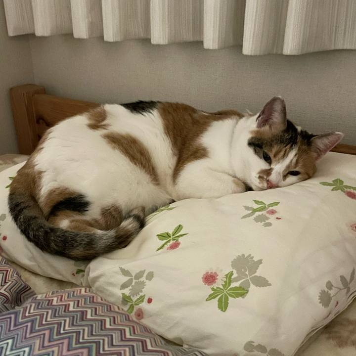 586f389d a142 485e 8be5 65af2e702b8b 1640941083183