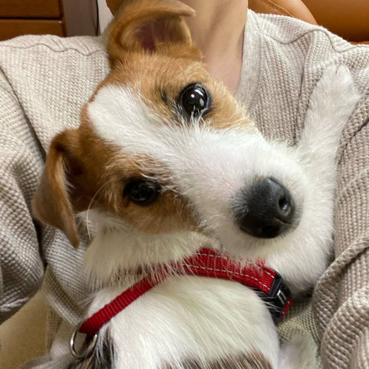 586f39f5 68f4 4d2b 9216 8945c147d3f8 1619850227490