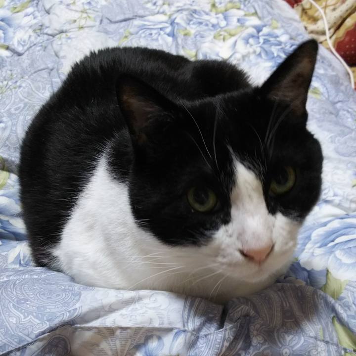 586f6f7a 9a2e 4046 92bd 78d290a7f244 1550612838575