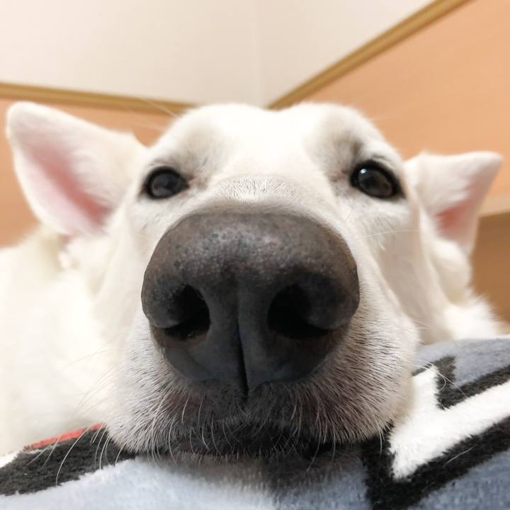 586fe8e1 e84a 4fba 84e3 2ef393eebb4b 1539785713256