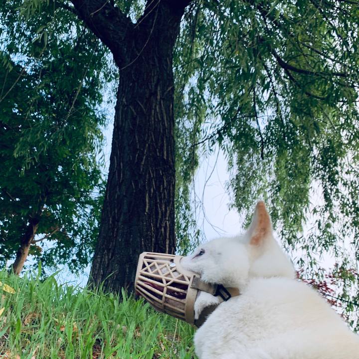 586fef3d 9de2 427b 81be 9d149bd69beb 1595191247666