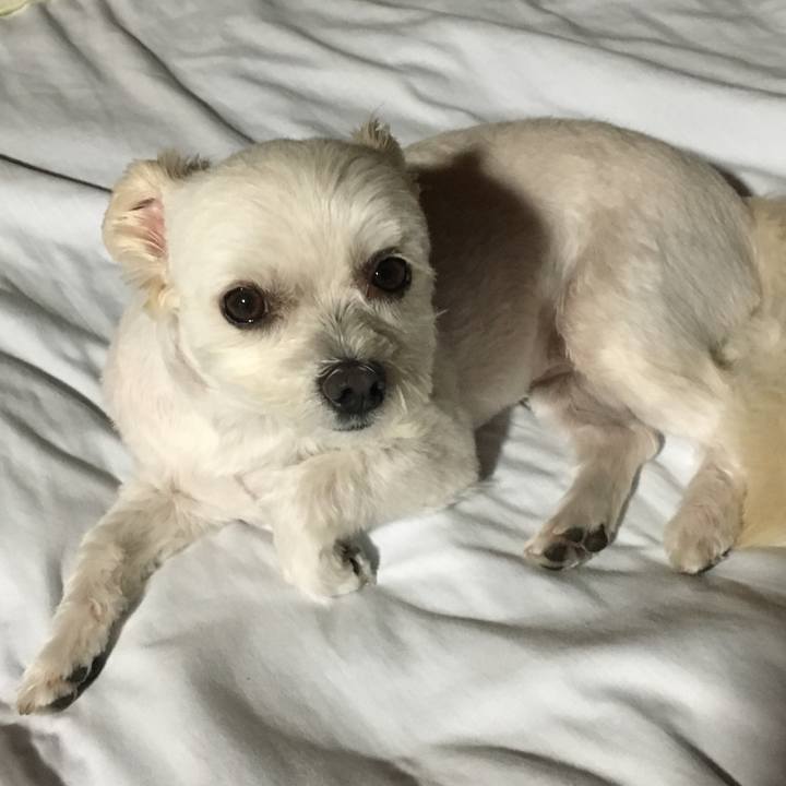 58700339 a18a 4bcf 9776 4e01c7389dd8 1529410296403