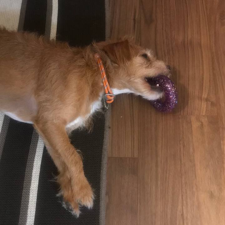 58702bb0 b67f 47a3 8586 d469257bd960 1598396085041