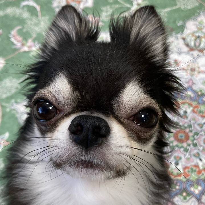 58703fdb adfc 4963 9406 fe254b1af8e2 1662846760487