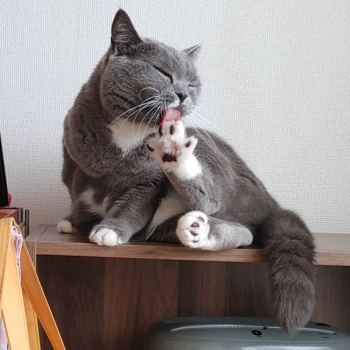 587043f4 0813 4e2d 8d84 66a150fe37ac 1636164706261