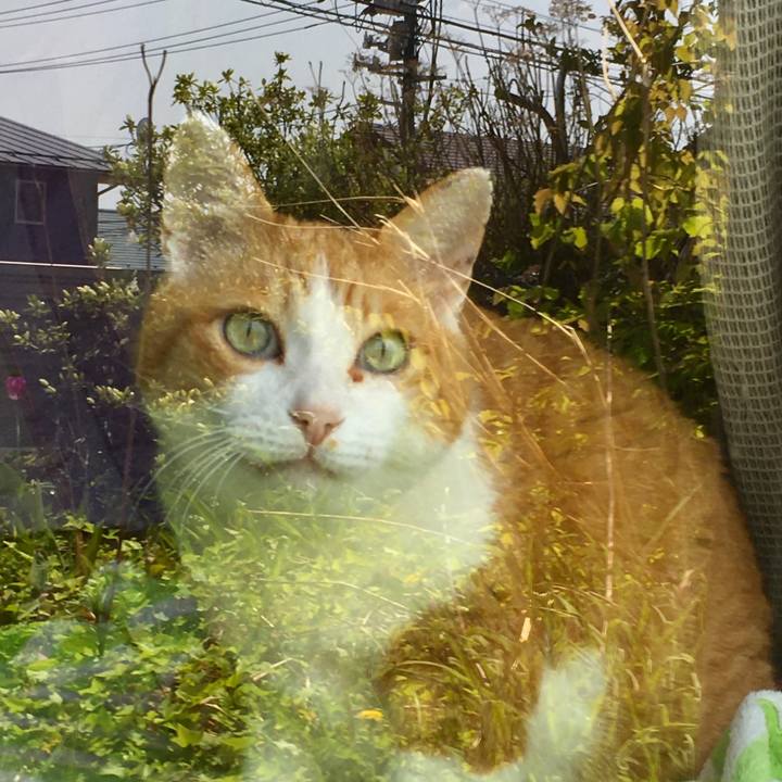 58704f82 c137 4fc6 9d33 8b590265ef91 1620802016573