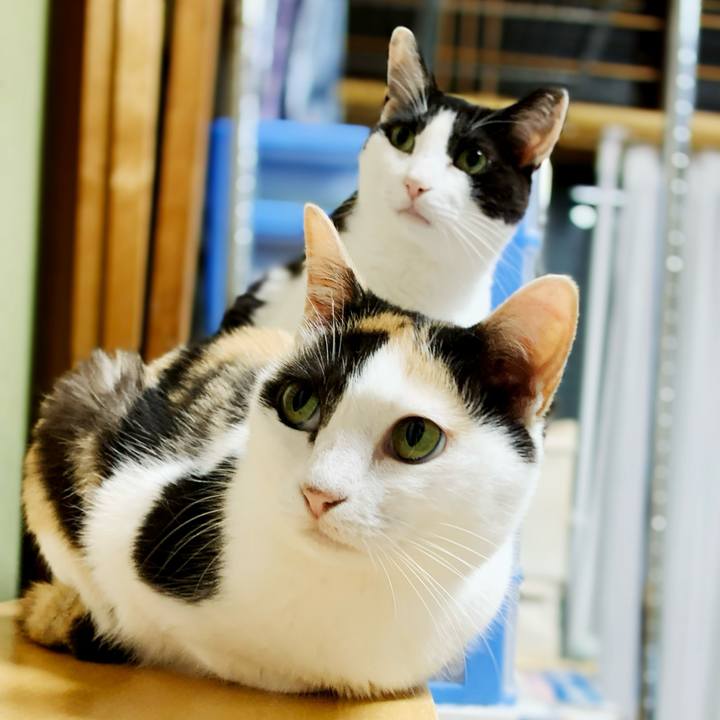 587070db 3aa8 45d3 9b70 97d0b4d4b947 1596082269638