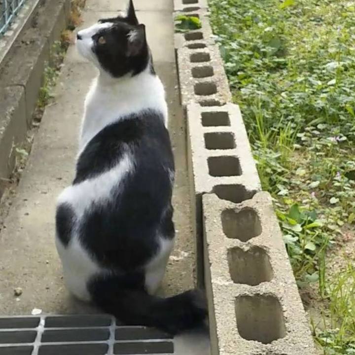 58707b33 0cce 461b 9e02 a29359e6f3cc 1551607983854