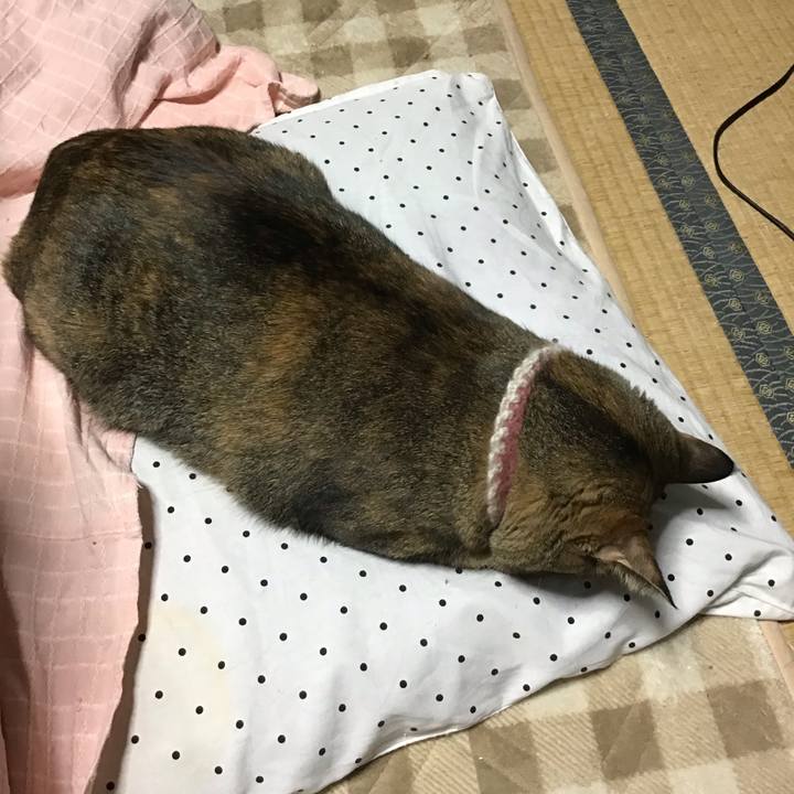 58708069 190c 41ab a989 5ec80726821c 1667741432327