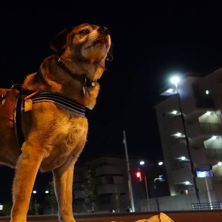 58709d90 9318 48bf a92d 7dcd565b6545 1553434729576