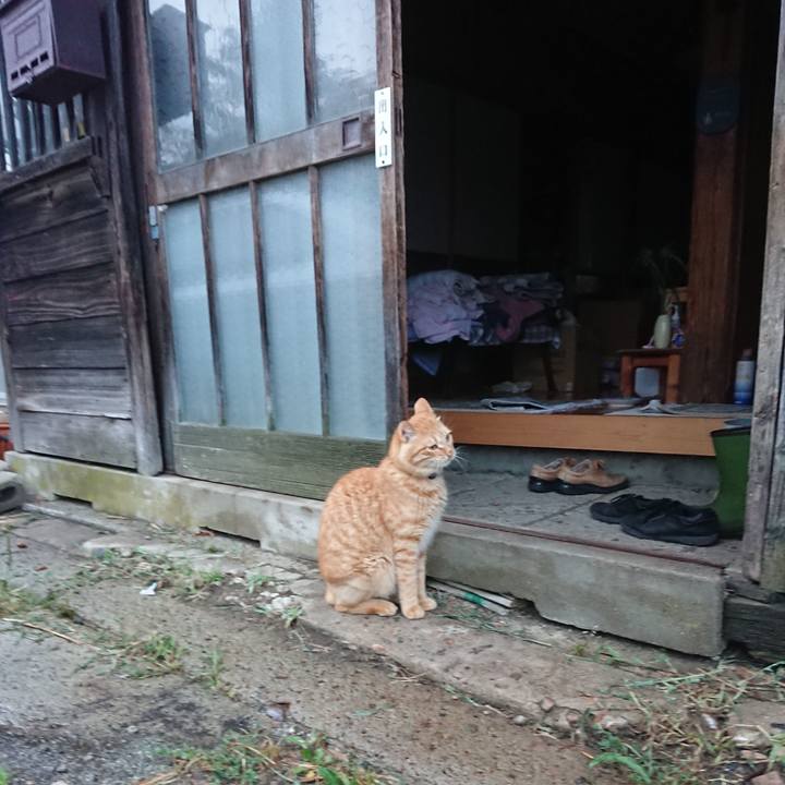 5870b88a bb95 4cb5 868b 5d4f4eceb432 1656882243145