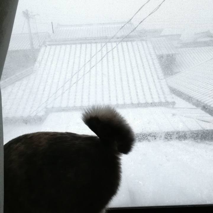 5870be7a 3cc8 4b96 b7c4 da3ad84fcf74 1516760016990