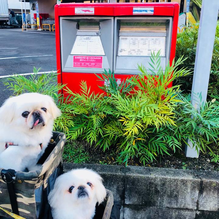 5870c077 9eae 4191 a120 8d1e3953adbc 1599859507542