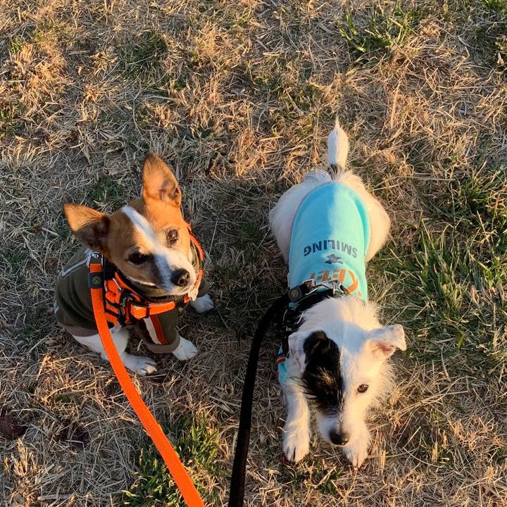 5870eba3 aaff 42d0 b473 6e5e2c1787b4 1550479060468