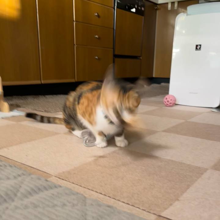 5870f848 cc7e 488d a4ee a8889c4fadaa 1668465395586