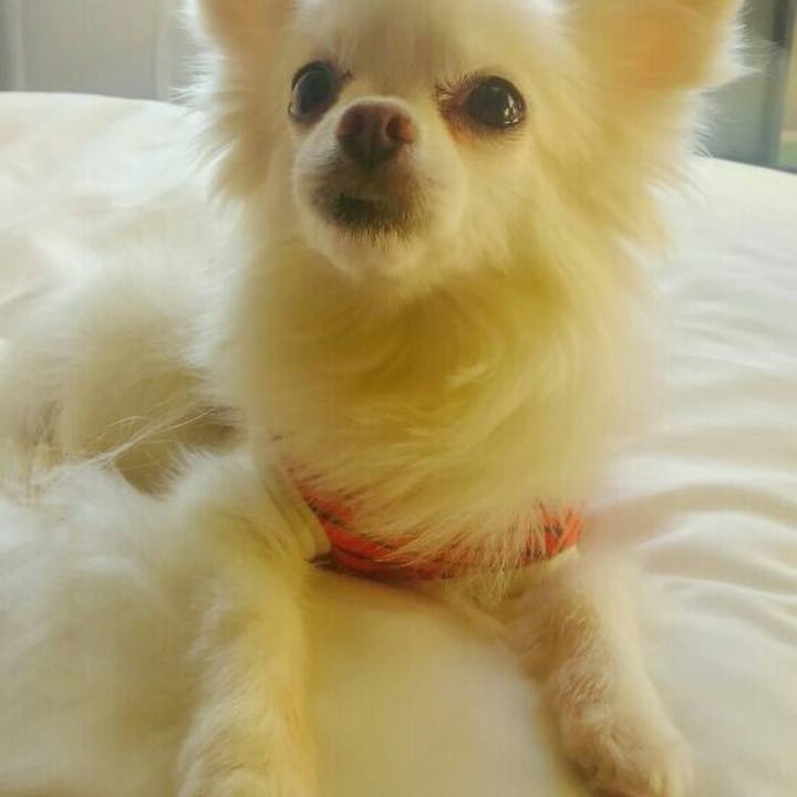 587133a1 cb08 4815 83e8 12f18b61d11b 1542321622609