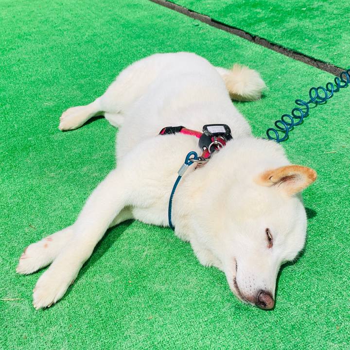 58714d13 5729 4089 9ea3 c728b64473fa 1597553158088