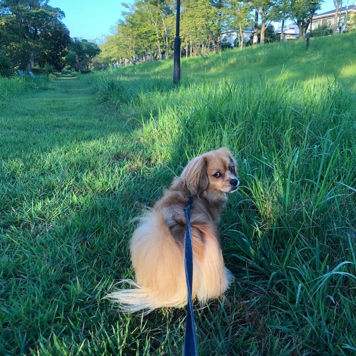 58717044 6821 4378 a66e 0c5155a18930 1535491379707