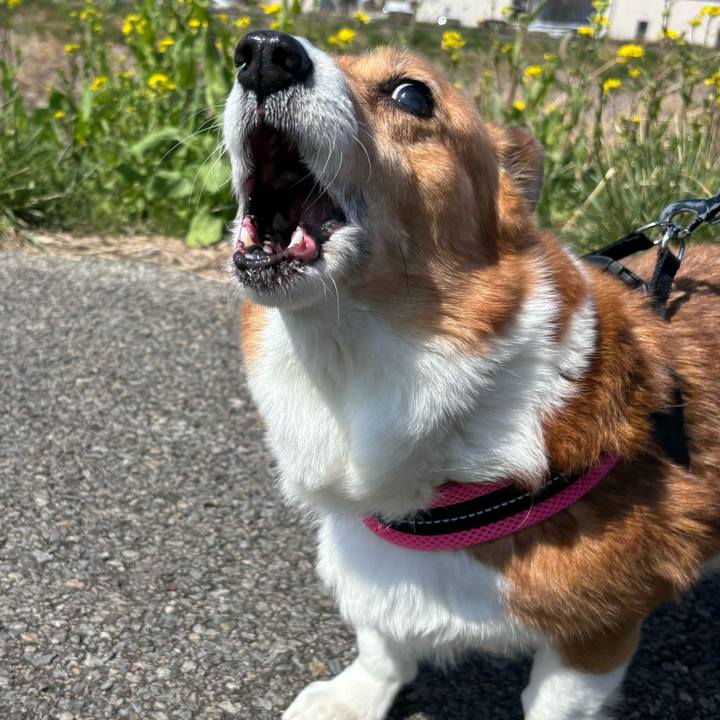 58717d3d e79c 4327 b86b 5fe5da89b388 1742525071495