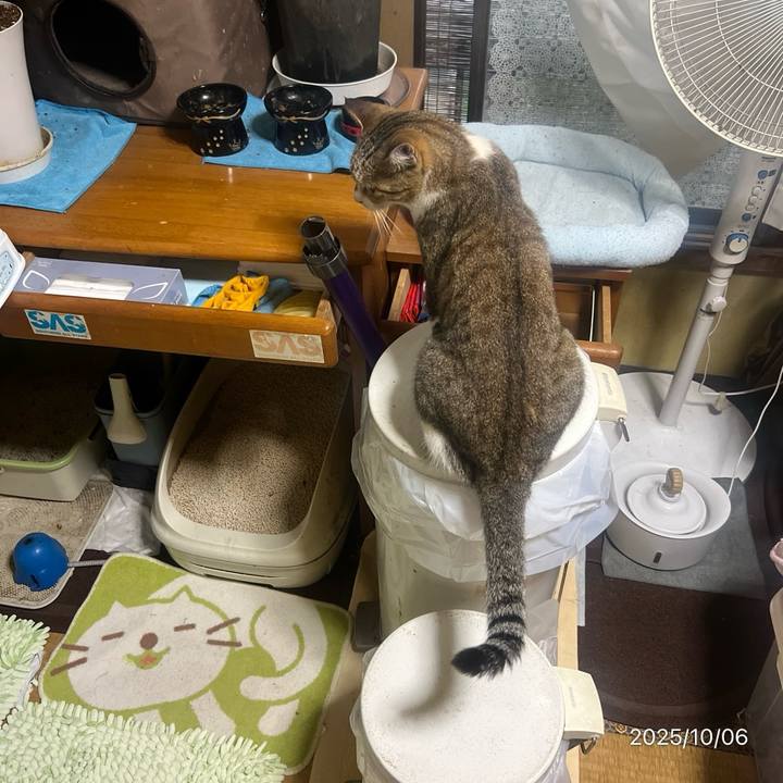 5871d5fa 1d79 43c6 bda9 f9fe86b9e95e 1759754513609