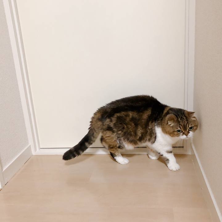 5871dd00 7996 471e 8574 18d5d15393b6 1571232249799