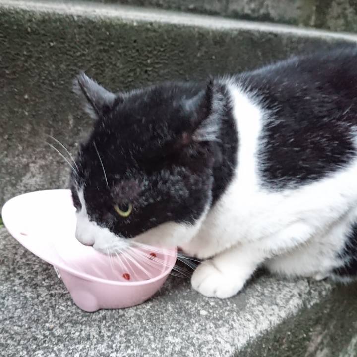 5871f612 5ac6 4eb3 a18c 6f05136060ca 1697876294924