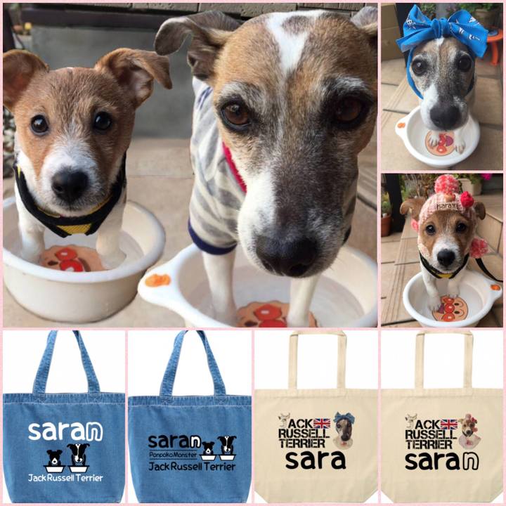 58723c2f d7fc 494d a2ff a737d94d6291 1549935380337