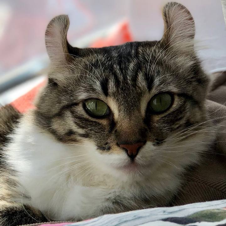 58727083 f5ce 4eeb 87fe 2e7dd21f2d97 1520334106881