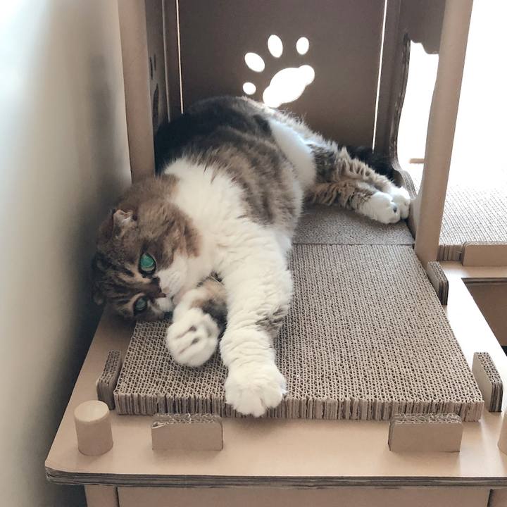 587275cf b225 4ef4 be5e a95efc98ef8a 1598342497322