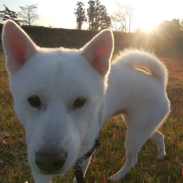 5872ae1e f135 481f ad03 25069481cdad 1604834144524