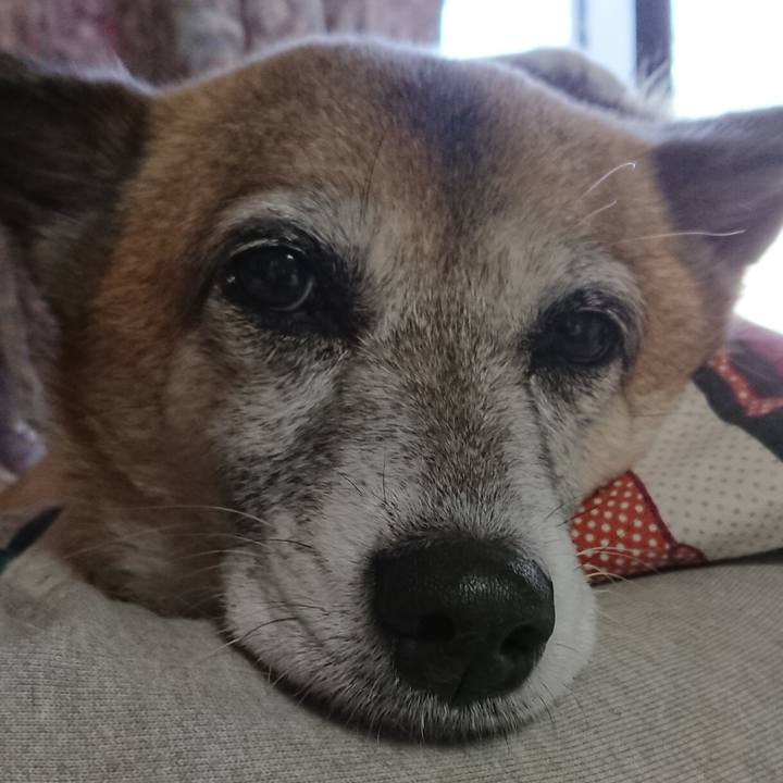 5872fa31 3a6d 45fc ad68 24cdced7328b 1551135473390