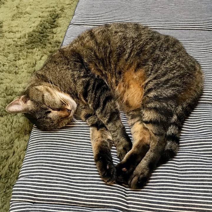 587328ae 794b 403f 8120 c700b5fa64ee 1621582974785