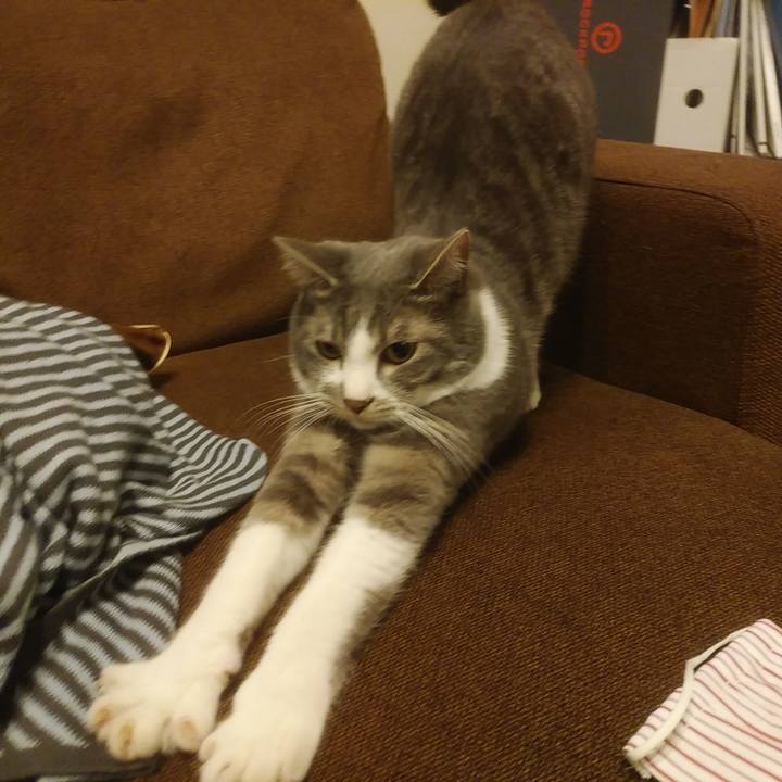 58733eed cfbc 4e5e 9193 8f02661e35b2 1587724851821