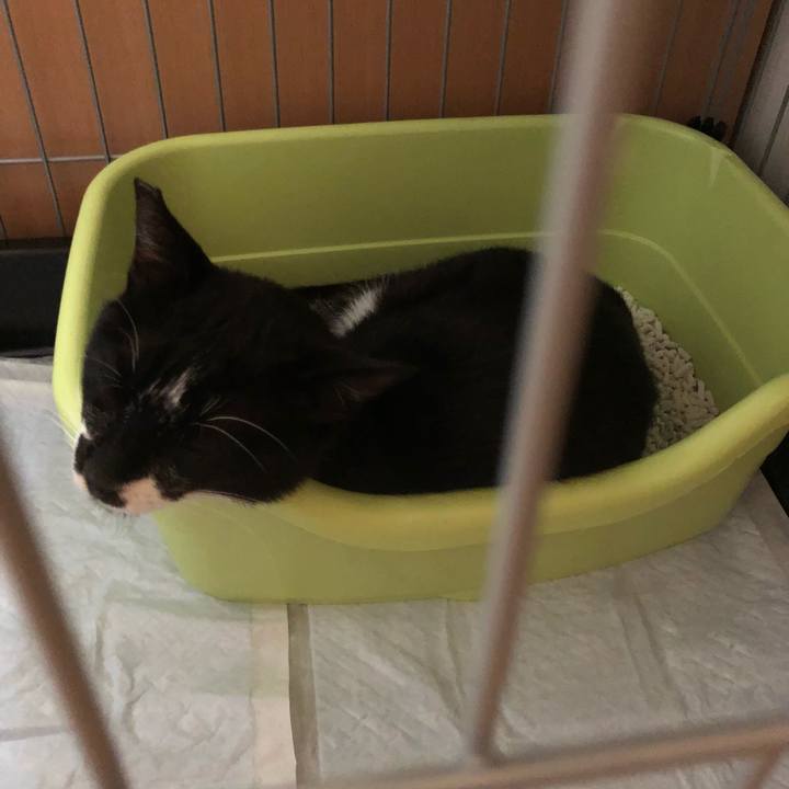 5873a9fa 5d26 405e a734 d491ca5626ea 1530774042728