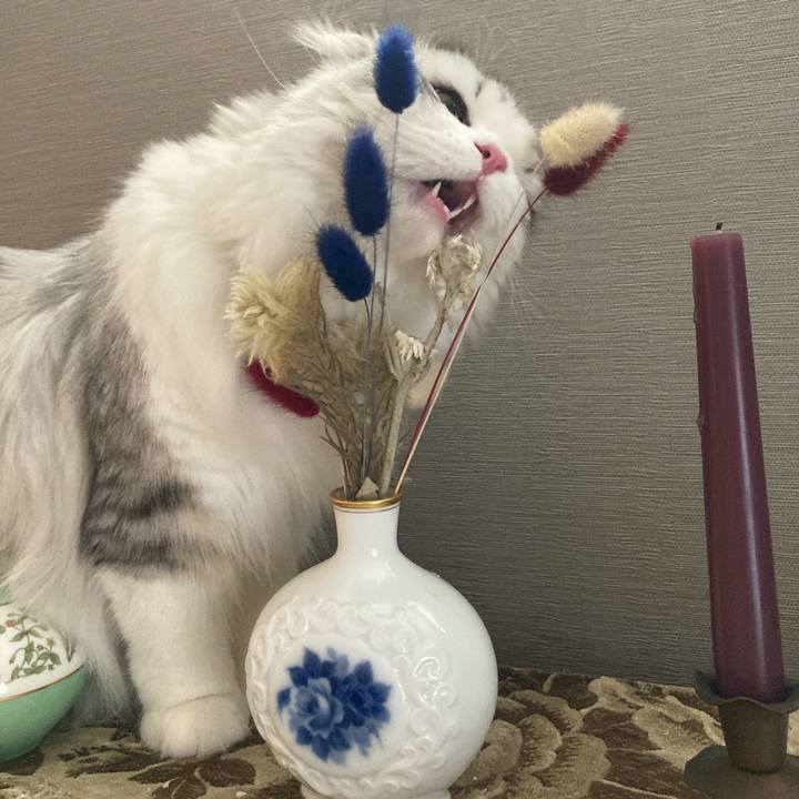 5873b09e 3a56 4e66 a7f2 277dfcbcb5a0 1610196268919