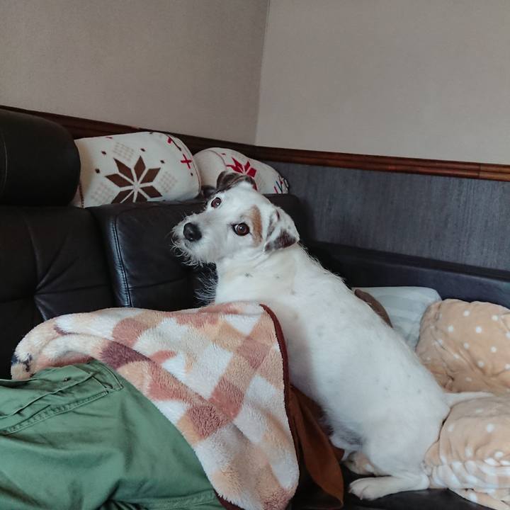 5873fd52 77b4 49cb ae46 b62fc6a62680 1524960273007