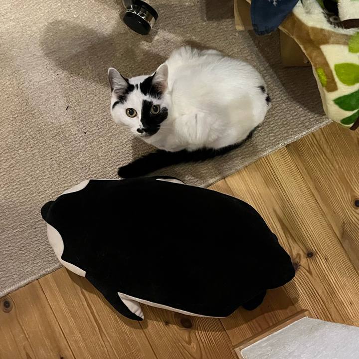 587453cb 615a 4361 bf51 d471509ca1e4 1762692610424