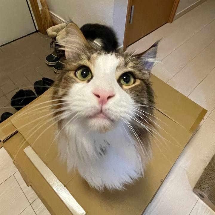 58745a7e 9eff 4a09 8f29 b85ff8bc4619 1675286420285