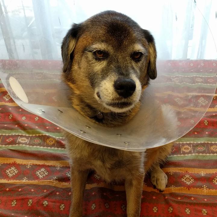 58745dff 936e 41e8 ad89 e05b35a59ea1 1534921925564