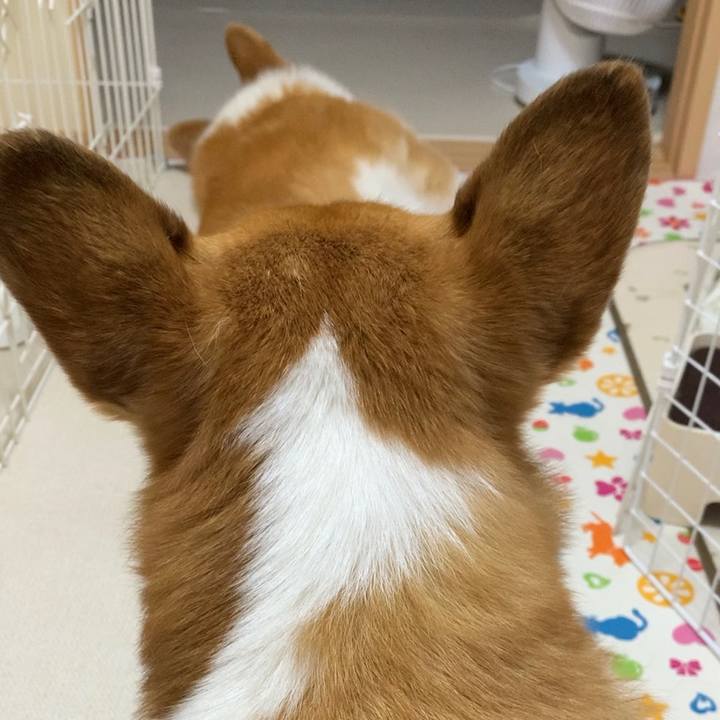 58745ea5 c5b6 4f27 8f6a 81d2788c5907 1691546853095