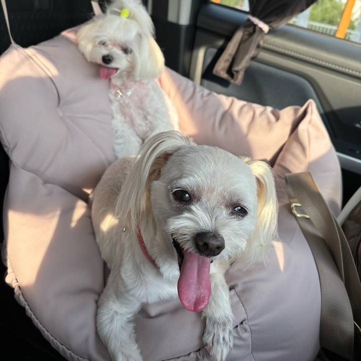 58746ae5 8b1a 49dc 9380 bd5dda98b985 1755945995385