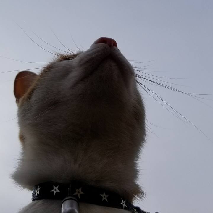 5874994d a593 448c af21 7b798b633d4e 1519451268144