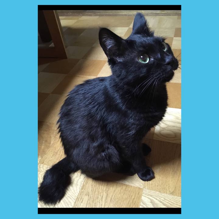 58749d8a 88b2 4f0f bbca 90d8d0d81cd2 1566108345281