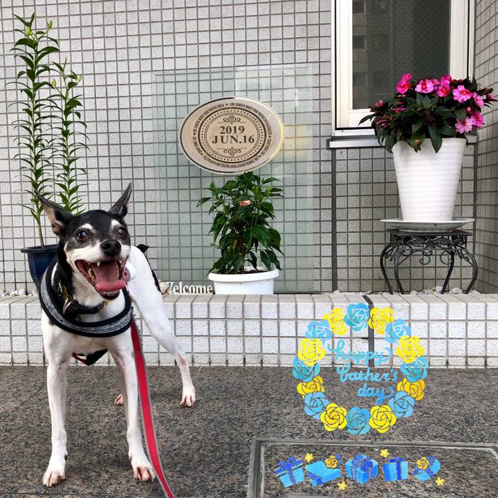 58756830 522d 4505 85a8 aa6f9d042ffd 1560649717658