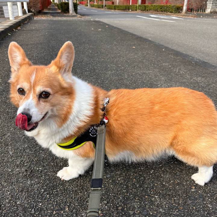 587572fb 7f63 47d5 8830 05a49b74dd0d 1764214685360