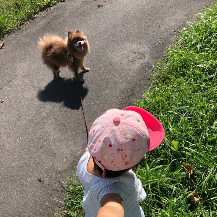 5875dad1 365f 4b28 81bf bfdb97e8519b 1600496500661