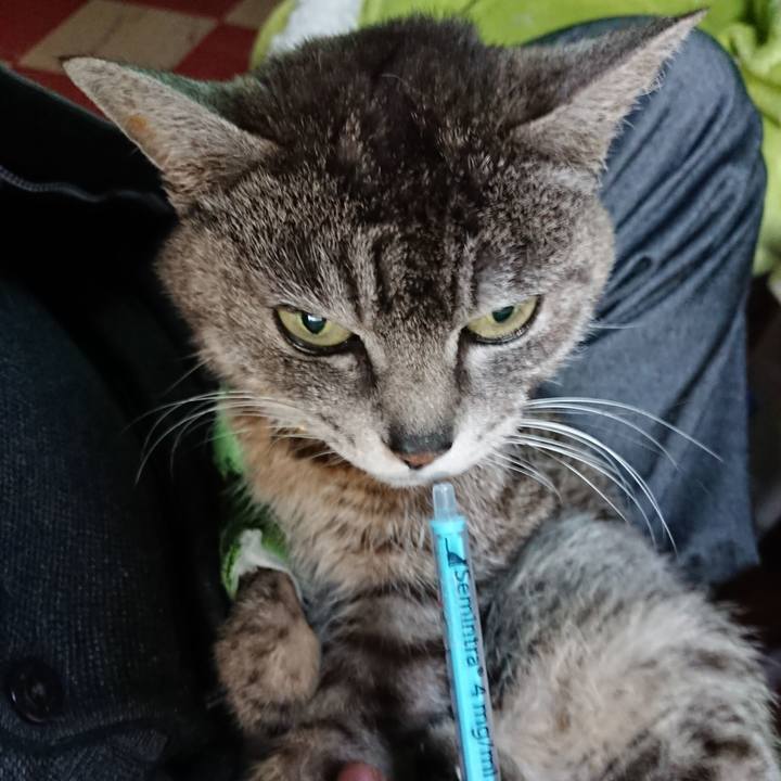 587609fe d9e1 4f81 be61 0a27424b5ead 1587333234173