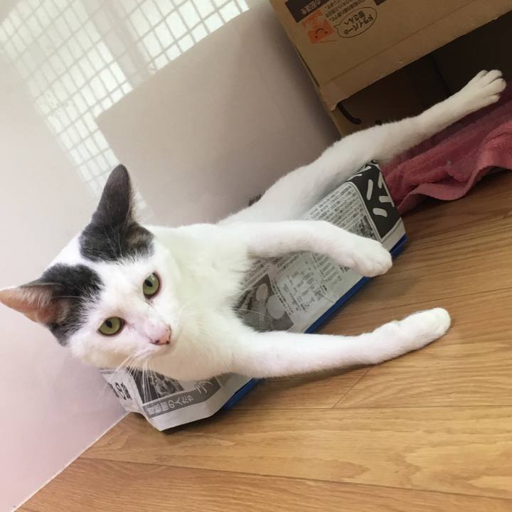 58762ef0 c3dd 41a5 bf75 0ac27a3fb987 1534590006677